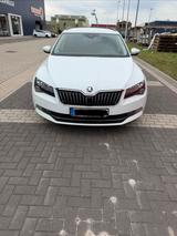 Skoda Superb 1.6 TDI SCR GreenLine Combi GreenLine - Skoda Superb: 1.6