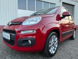 Fiat Panda 1,25 51kW 69PS Lounge/PANO/Klima/1.Hand - Fiat Panda Gebrauchtwagen in Dortmund