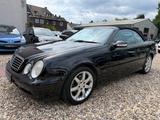 Mercedes-Benz CLK 230 Cabrio Automatik SHZ/KLIMA/LEDER/PDC - Mercedes-Benz CLK 230: Cabrio
