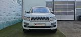 Land Rover Range Rover 4.4 SDV8 Autobiography*Panorama* - Land Rover Range Rover: Weiß