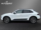 Porsche Macan S Diesel V6 PDLS 20" NAV Leder - Porsche Macan in Bielefeld