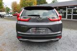 Honda CR-V 1.5 2WD Elegance - Honda CR-V in Hamm