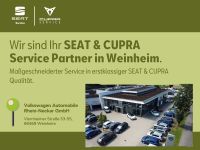 Volkswagen T-Cross - Vorschau Bild 4