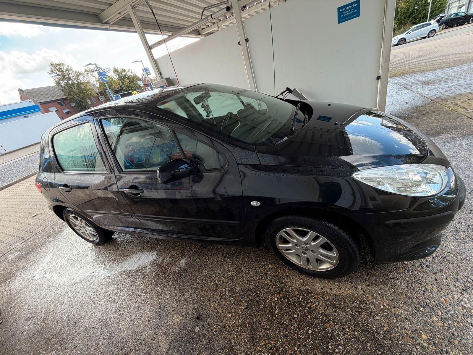 Peugeot 307 2006 — interior