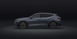 Cupra Formentor VZ 2.0 TSI 265PS Loyalisierung Privat - Cupra Formentor: Alcantara