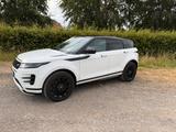 Land Rover Range Rover Evoque D200 DYNAMIC SE, Panoramadach - Land Rover Range Rover Evoque aus 2025
