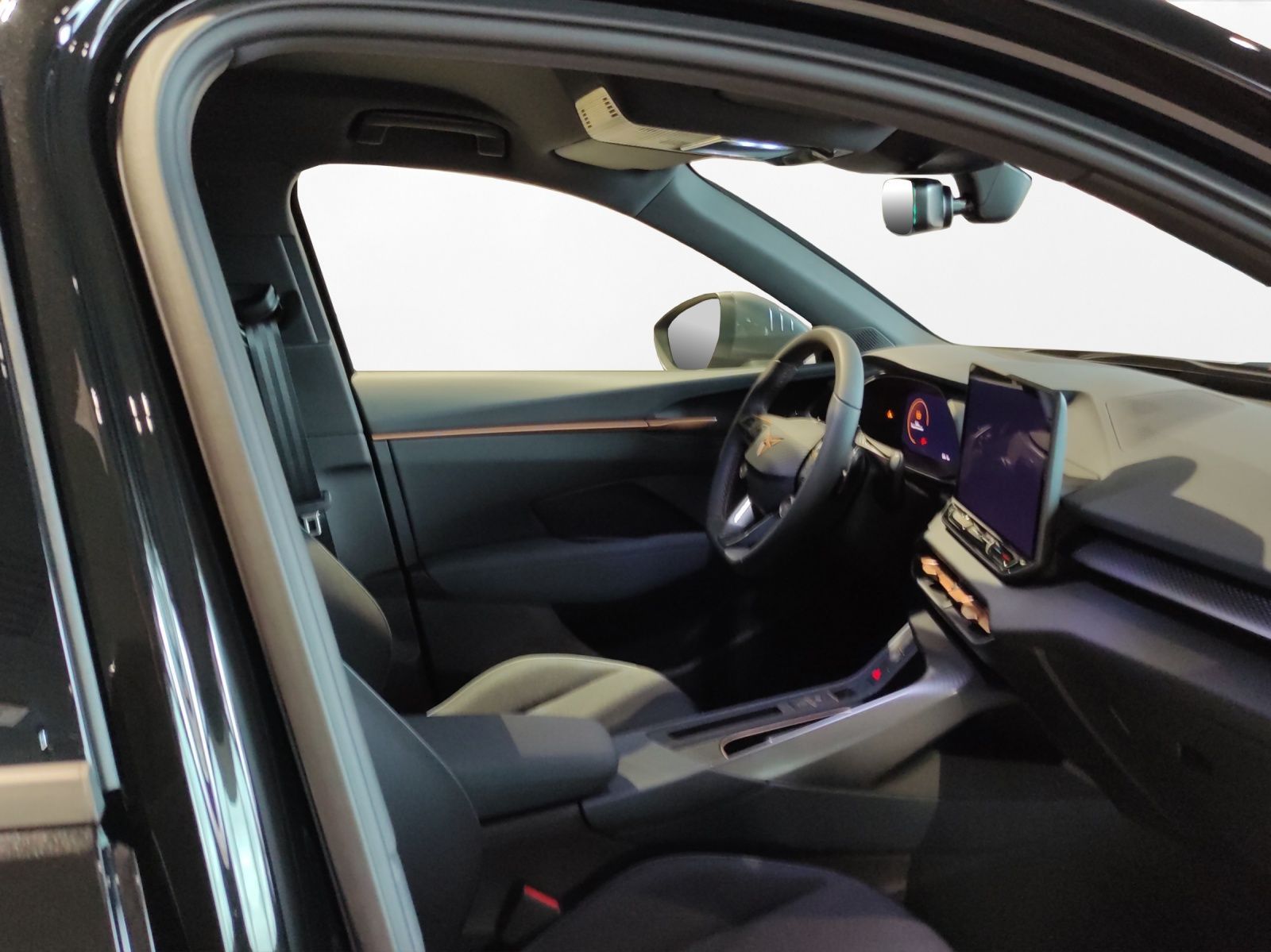 Cupra Terramar - Bild 11