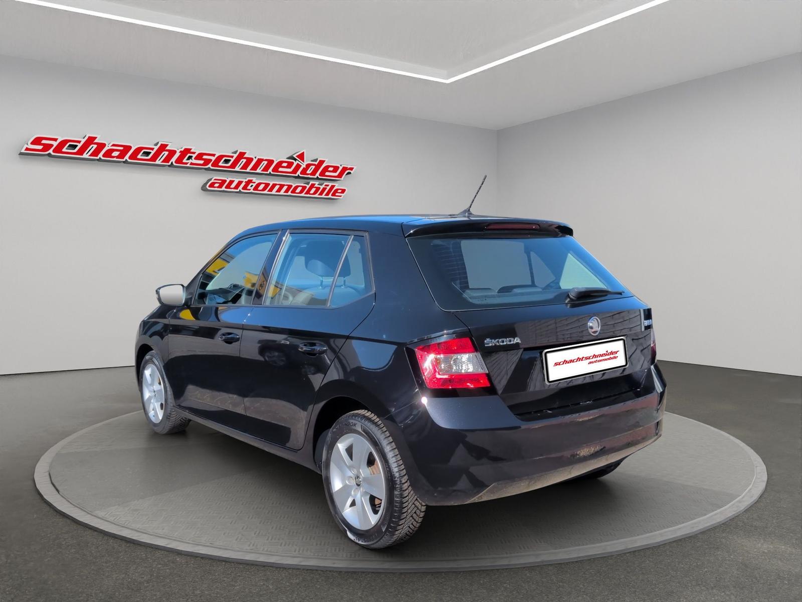 Skoda Fabia Active 1.0 TSI+DAB+Allwetter+