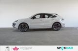 Porsche Cayenne Coupe Platinum Edition 3.0 V6 - Porsche Cayenne: 3.6