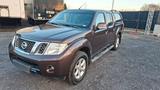 Nissan Navara - gebrauchte Nissan Navara aus dem Jahr 2010
