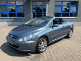 Peugeot 307 CC Cabrio-Coupe Filou 110 - Peugeot 307: Filou