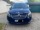 Mercedes-Benz V 250 d Aut. AVANTGARDE EDITION lang AVANTGA... - Mercedes-Benz V-Class