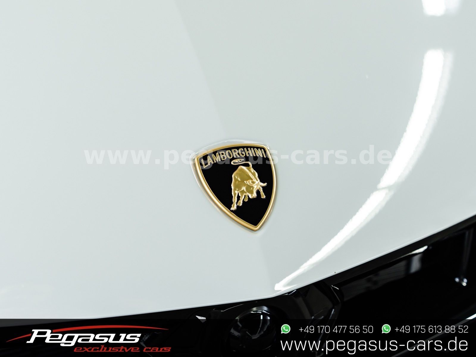 LAMBORGHINI Urus - 19