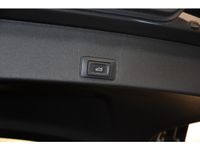 Cupra Terramar - Vorschau Bild 12