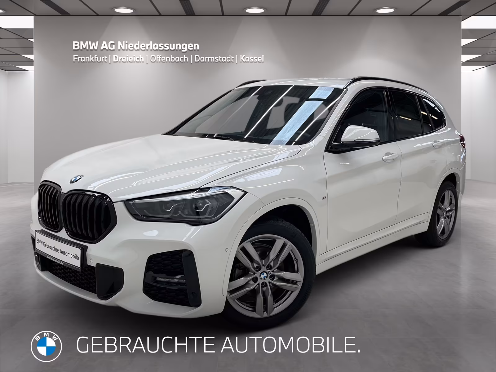 BMW X1 xDrive18d M Sport Navi AHK Parkassist LED