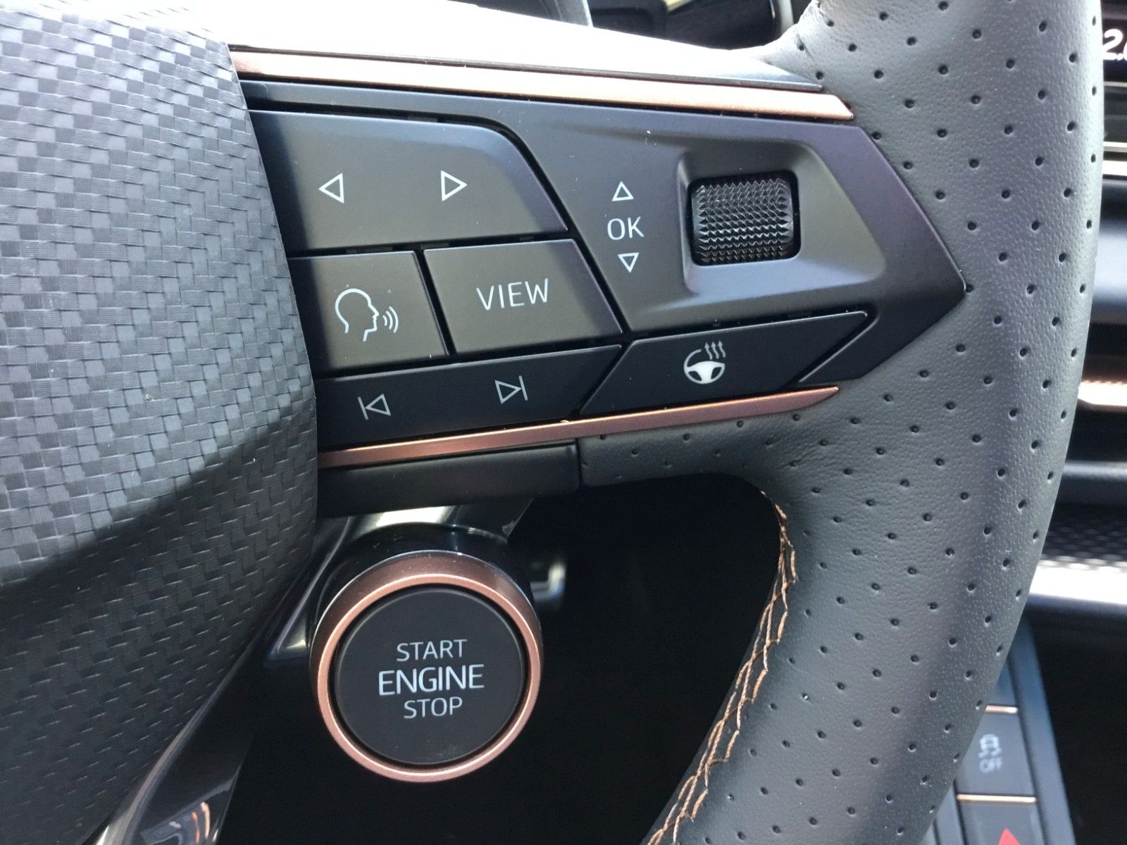 Fahrzeugabbildung CUPRA Terramar 2.0 TSI DSG 4Drive+Matrix+AHK+Pano+360°