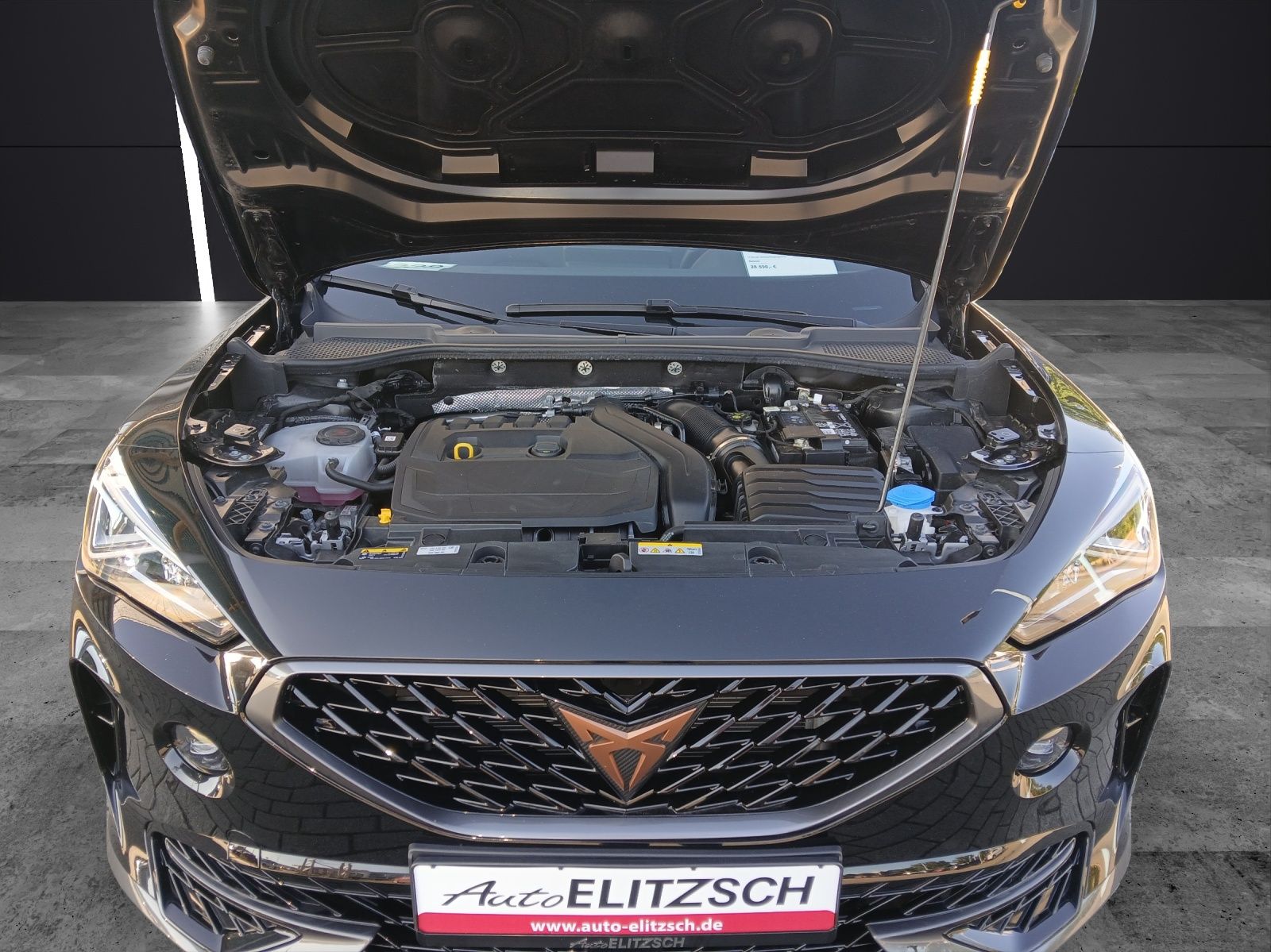 Fahrzeugabbildung CUPRA Formentor TSI DSG LED ACC RFK SH 19"