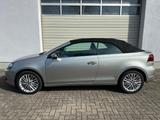 Volkswagen Golf VI Cabriolet Cup 1.4 Sitzheizung Windschott - Volkswagen Golf: Cabrio, 1cabrio