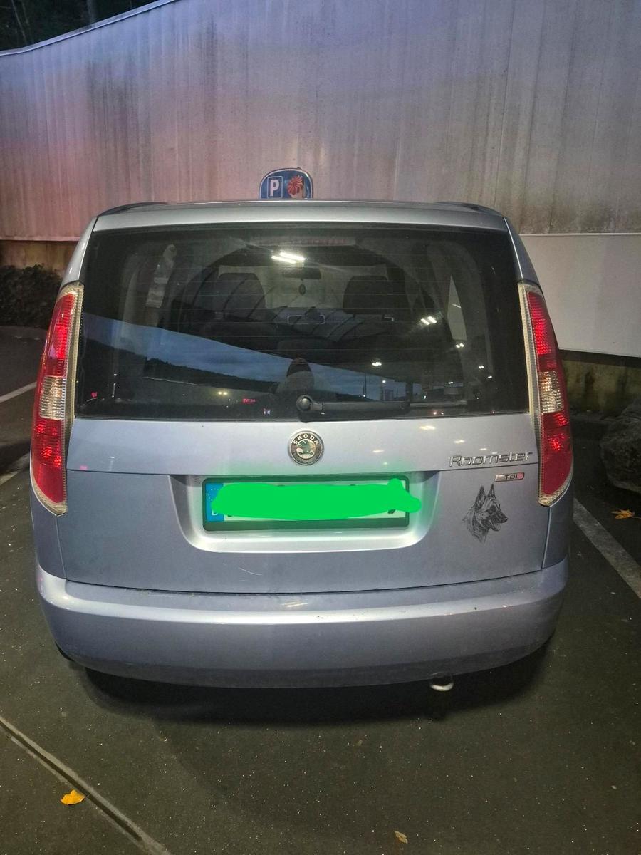 Skoda Roomster 2008 — photo 8