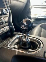 Ford Mustang 5.0 Ti-VCT V8 GT Cabrio - Ford Mustang mit Benzin-Antrieb: Cabrio, 5.0