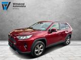 Toyota RAV 4 RAV4 Hybrid 4x2 Team Deutschland - Toyota mit Hybrid-Antrieb