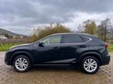 Lexus NX 300 300h E-FOUR Luxury Line Luxury Line - Lexus NX 300 von privat