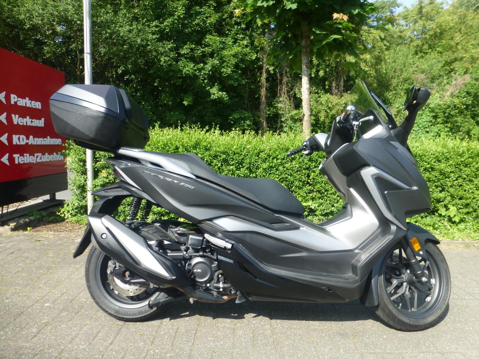 Honda Forza 350 1.Hand Scheckheft gepflegt