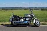 Yamaha Drag Star XVS 1100 Classic, Falcon, dkl. Blinker - YAMAHA XVS 1100 DRAG STAR