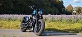 Harley-Davidson Sportster Forty-Eight 48 XL2 XL1200X 5HD1 - Offers