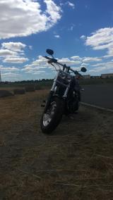 Harley-Davidson Fat Bob FXDF 5HD (deutsches Modell) - HARLEY-DAVIDSON FXDF