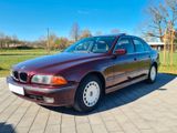 BMW 528i Automatik, TÜV 12/2026, Klima, eSSD - BMW 528 aus 1998: 528i