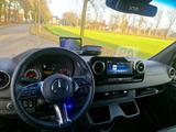 Mercedes-Benz Sprinter Automatic Haras STX 4,1T C1 Führerschei - Angebote