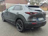 Mazda CX-30 Homura *HUD*R.Kamera*CarPlay*PDCv&h*  - Mazda CX-30 von privat