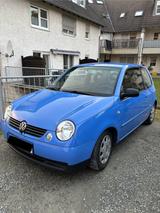 Volkswagen Lupo 1.0 Oxford top zuverlässig!  - Volkswagen Lupo: Oxford