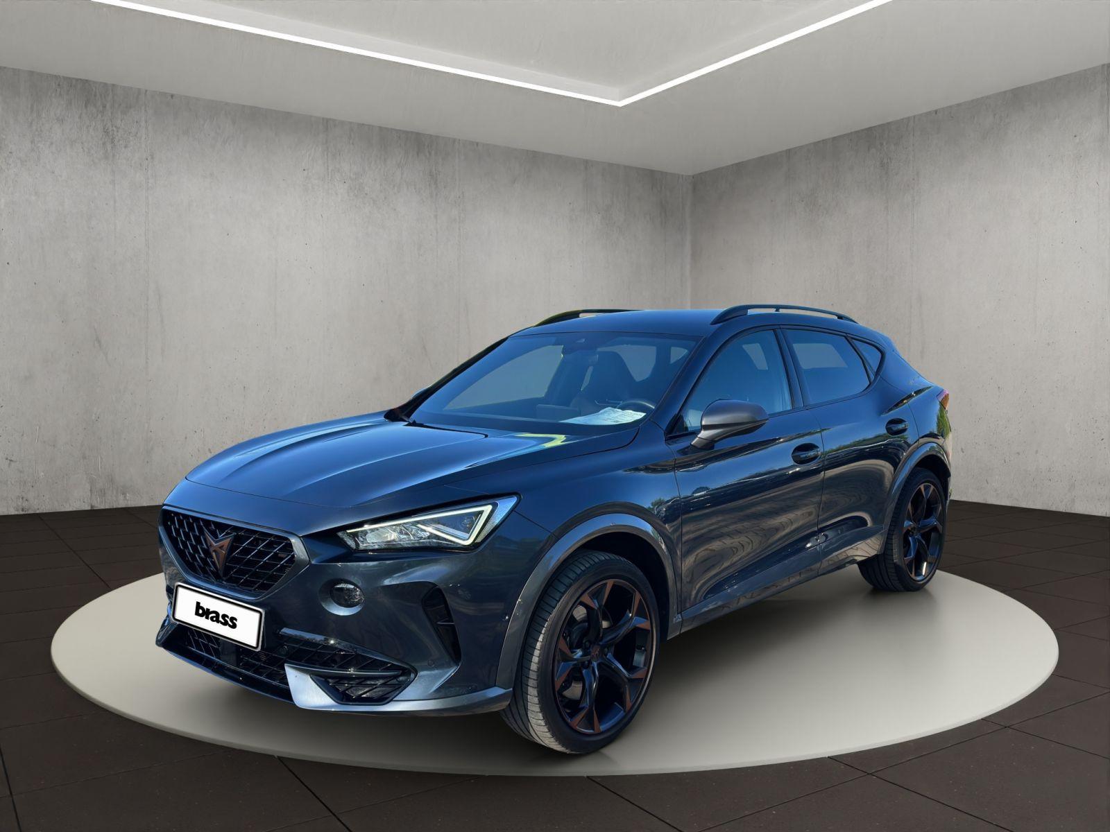 Cupra Formentor VZ 2.0 TSI 4Drive Full Link+Navi, Sitz