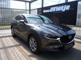 Mazda CX-30 2.5L e-SKYACTIV G 140ps 6AT FWD Exclusive - Mazda CX-30 Gebrauchtwagen in Hamburg
