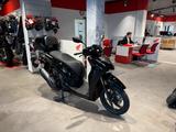 Honda SH350 2025 Nebbia Schwarz *sofort verfügbar*
