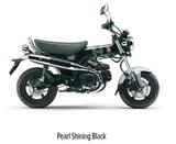 Honda Dax ST125, schwarz, Tageszulassung - HONDA DAX 125