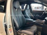 Cupra Terramar - Vorschau Bild 20