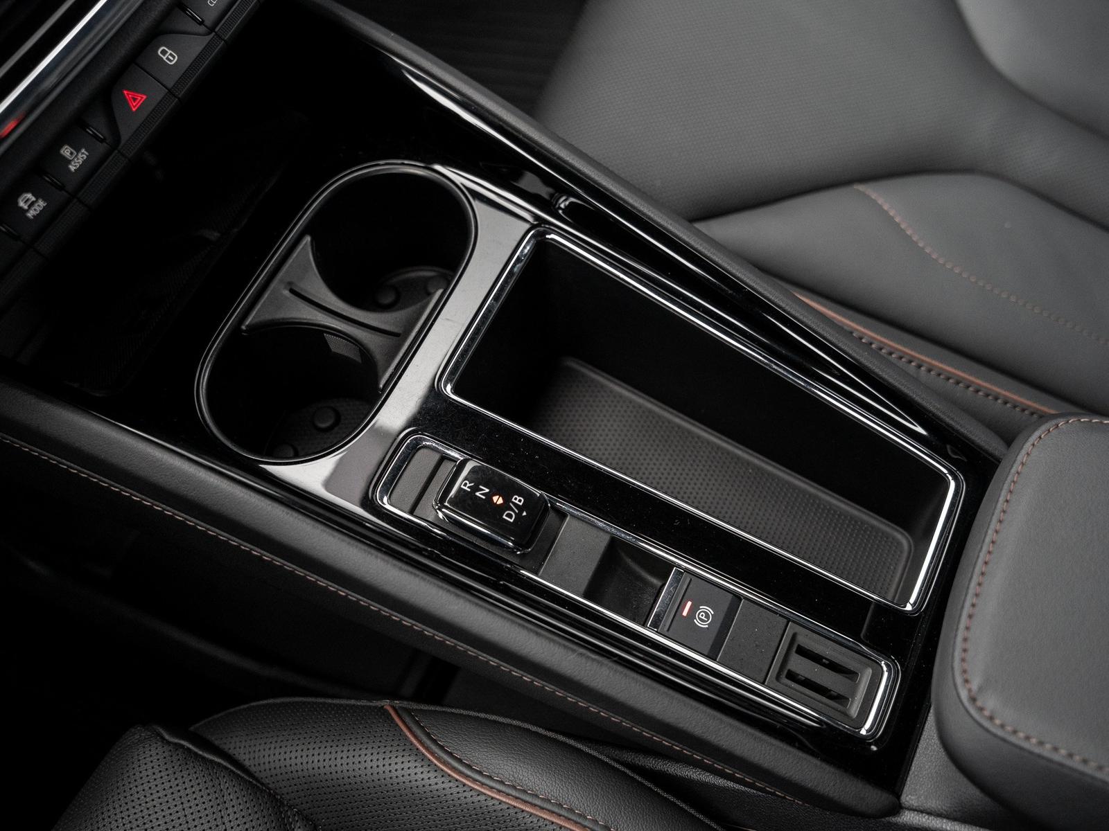 Skoda ENYAQ iV 80x DCC AHK Leder Navi W-Pumpe el.Heck