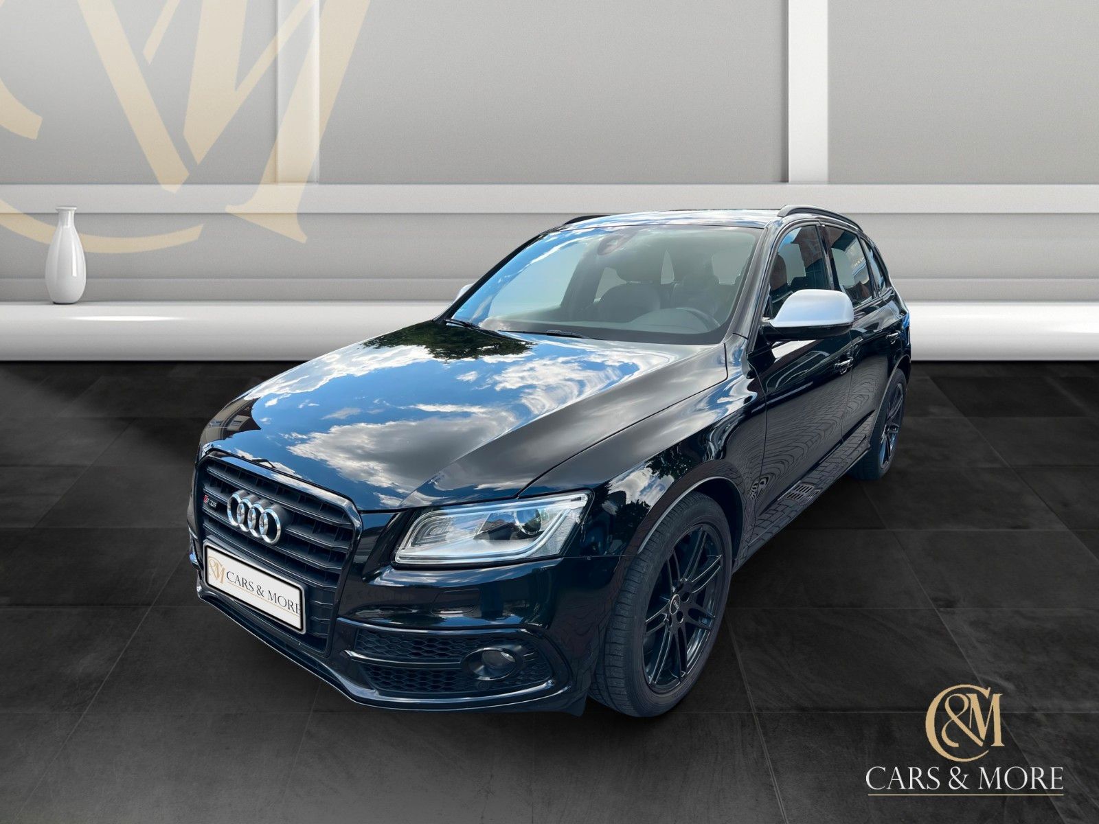 AUDI SQ5 3.0TDI competition quattro Leder Navi RFK SH