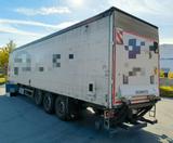 Schmitz Cargobull SCS 24/L SpeedCurtain -LBW 3t.-RSAB-Lift - Schmitz Cargobull SCS 24