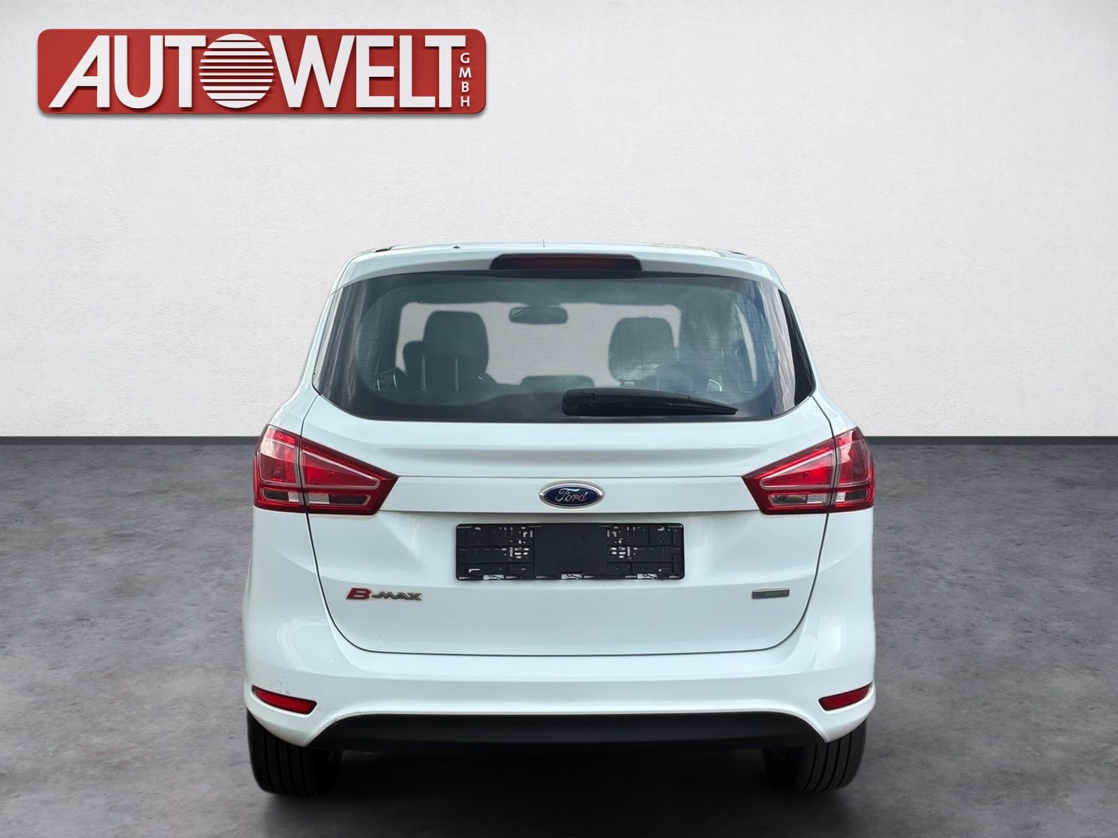 Fahrzeugabbildung Ford B-MAX 1.0 EcoBoost Titanium SHZ,Keyless,LM,FLA