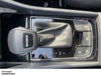 Skoda Karoq - Vorschau Bild 17