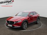Mazda Selection 2WD Matrix/360°/Leder/VOLL - Mazda CX-30 mit Schiebedach