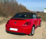 Volkswagen Beetle 1.2 TSI BMT Cabriolet - - Volkswagen Beetle in Hannover