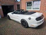 Ford Mustang GT 5.0 Cabrio weiß foliert - Ford Mustang Gebrauchtwagen in Bremen