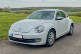 Volkswagen Beetle 1.2 TSI Design "Käfer" - Volkswagen: Kaefer