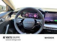 Skoda Octavia - Vorschau Bild 10