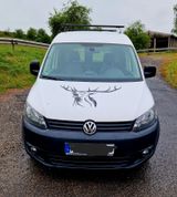 Volkswagen Caddy 2,0TDI 81kW 4MOTION Tramper Tramper - Volkswagen: Tramper